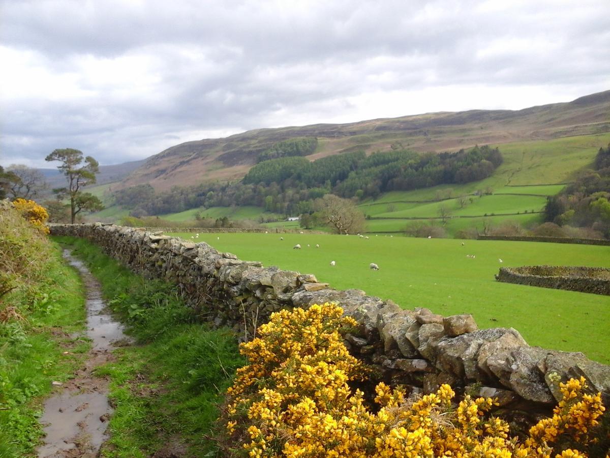 Courtyard Cottage Kirkby Lonsdale Buitenkant foto